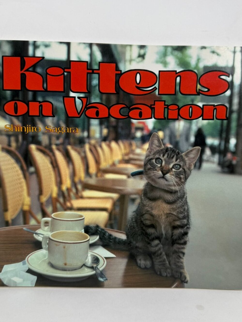 Kittens on Vacation Shinjiro Sagara Japanese Photo BookISBN 0870116967 PaperbacK